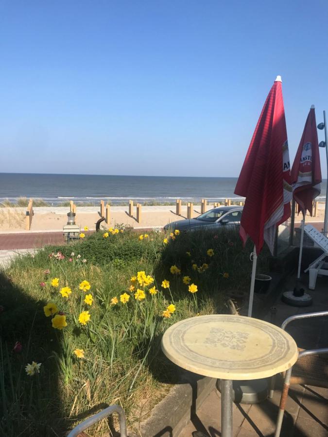 Chalet For 2 At The Beach 잔드보르트 외부 사진